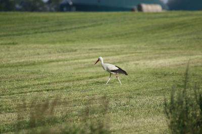 Foto des Albums: Die Prignitz