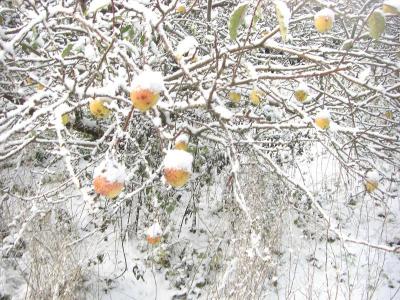 Foto des Albums: Die Prignitz