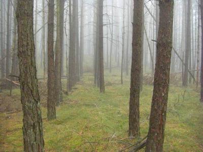 Foto des Albums: Die Prignitz