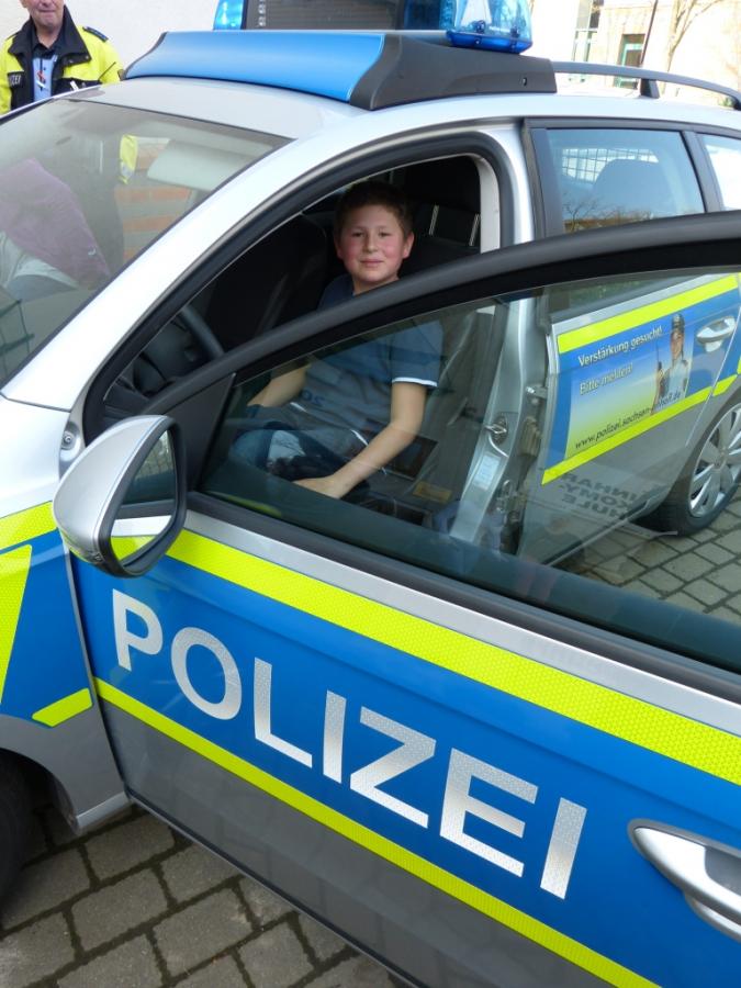 Bild der Galerie