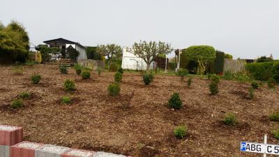 Foto des Albums: Arbeitseinsatz Behindertenparkplatz