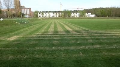 Foto des Albums: Sportplatzsanierung
