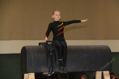 Foto des Albums: Holzpferdturnier 2015