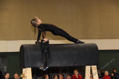 Foto des Albums: Holzpferdturnier 2015