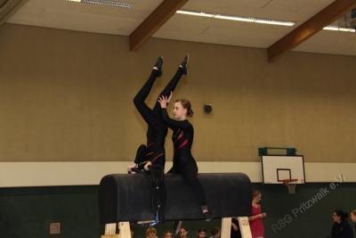 Foto des Albums: Holzpferdturnier 2015