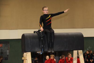 Foto des Albums: Holzpferdturnier 2015