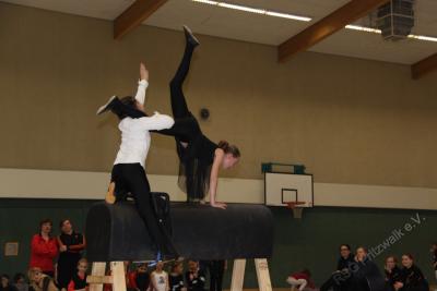 Foto des Albums: Holzpferdturnier 2015
