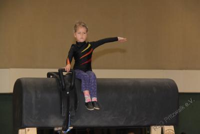 Foto des Albums: Holzpferdturnier 2015