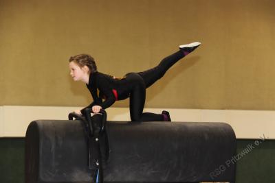 Foto des Albums: Holzpferdturnier 2015