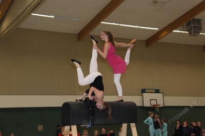 Foto des Albums: Holzpferdturnier 2015