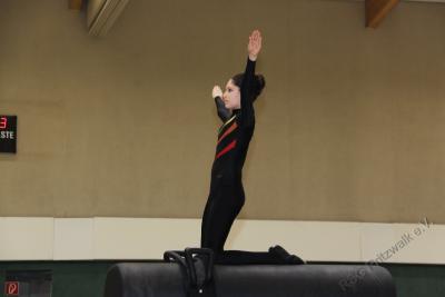 Foto des Albums: Holzpferdturnier 2015