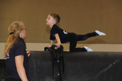 Foto des Albums: Holzpferdturnier 2015