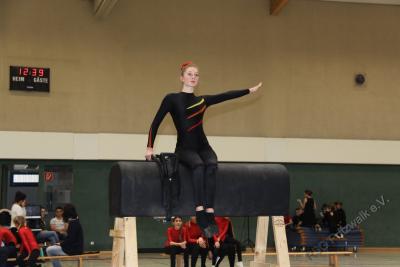 Foto des Albums: Holzpferdturnier 2015