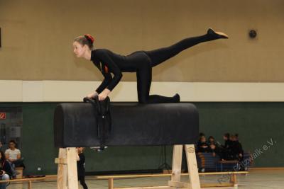 Foto des Albums: Holzpferdturnier 2015