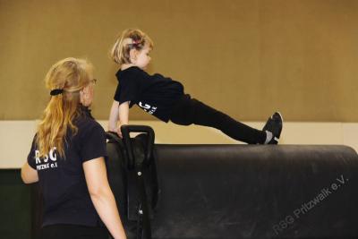 Foto des Albums: Holzpferdturnier 2015