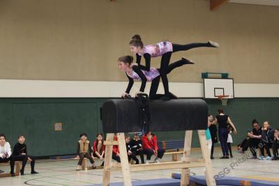 Foto des Albums: Holzpferdturnier 2015