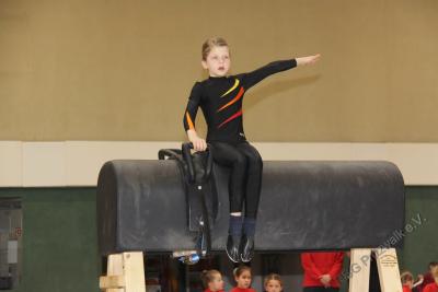 Foto des Albums: Holzpferdturnier 2015