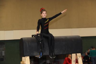 Foto des Albums: Holzpferdturnier 2015