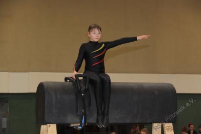 Foto des Albums: Holzpferdturnier 2015
