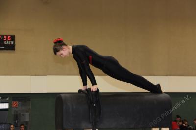 Foto des Albums: Holzpferdturnier 2015