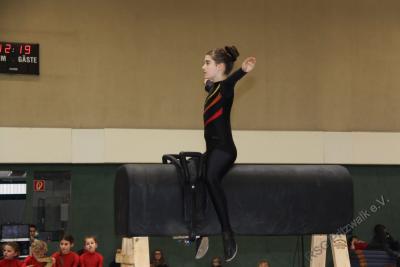 Foto des Albums: Holzpferdturnier 2015