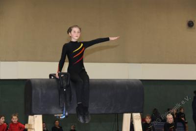 Foto des Albums: Holzpferdturnier 2015