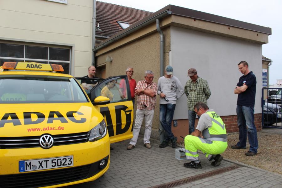 Bild der Galerie