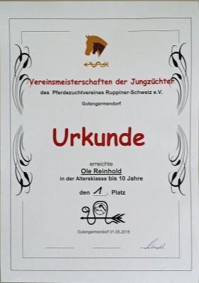 Foto des Albums: Jungzüchtervereinsmeisterschaft des Pferdezuchtvereins Ruppiner-Schweiz e.V. (01.05.2015)