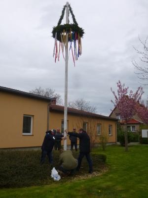 Foto des Albums: Maibaum aufstellen Friedrichsaue