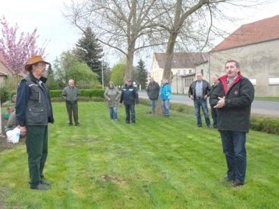 Foto des Albums: Maibaum aufstellen Friedrichsaue