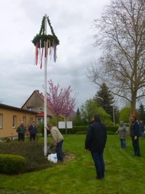 Foto des Albums: Maibaum aufstellen Friedrichsaue
