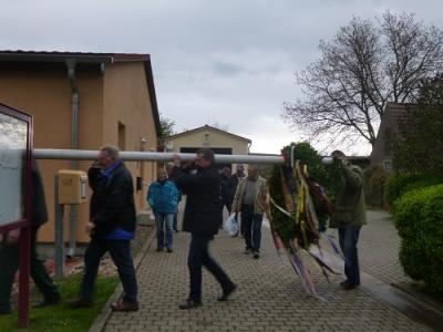 Foto des Albums: Maibaum aufstellen Friedrichsaue