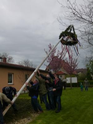 Foto des Albums: Maibaum aufstellen Friedrichsaue