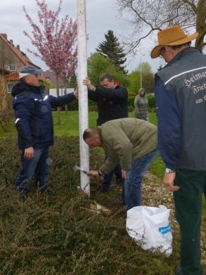 Foto des Albums: Maibaum aufstellen Friedrichsaue