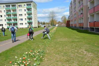 Foto des Albums: Schulweg
