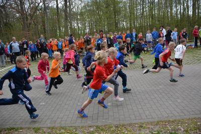 Foto des Albums: Frühjahrscross in Pritzwalk