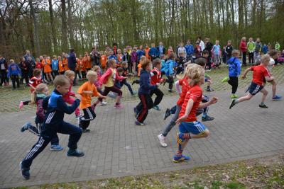 Foto des Albums: Frühjahrscross in Pritzwalk