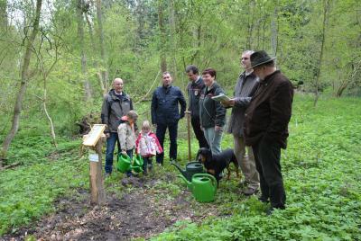 Foto des Albums: Traditionelles Familienwaldfest
