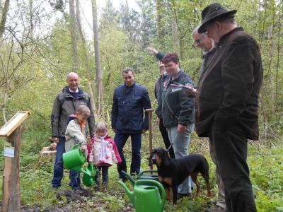 Foto des Albums: Traditionelles Familienwaldfest