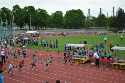 Foto des Albums: LM Mehrkampf Potsdam, 09.05.2015