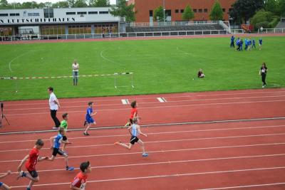 Foto des Albums: LM Mehrkampf Potsdam, 09.05.2015