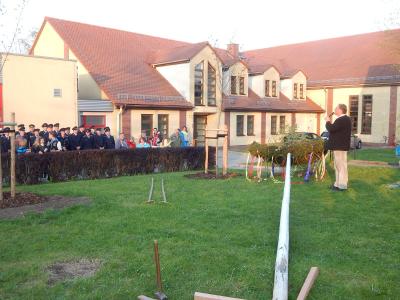 Foto des Albums: Maibaumsetzen