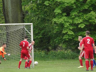 Foto des Albums: HSV-Liebenwalde