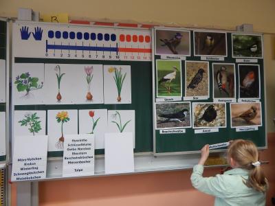 Foto des Albums: Tag der offenen Tür 21.05.2015