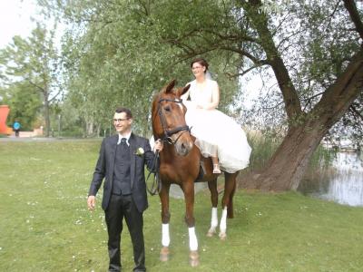 Foto des Albums: einr Hochzeit (23.05.2015)