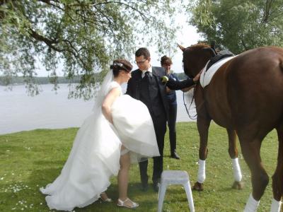 Foto des Albums: einr Hochzeit (23.05.2015)