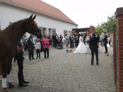 Foto des Albums: einr Hochzeit (23.05.2015)