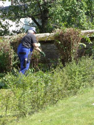 Foto des Albums: Bürgeraktion auf dem Friedhof Malborn