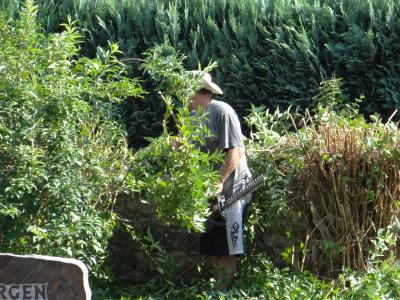 Foto des Albums: Bürgeraktion auf dem Friedhof Malborn