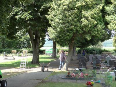 Foto des Albums: Bürgeraktion auf dem Friedhof Malborn